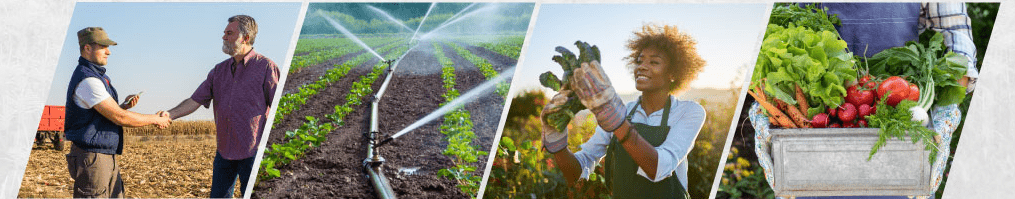 Volunteering at Middle World Farms