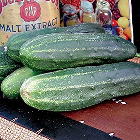 Cucumbers