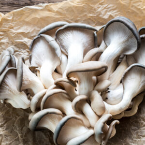 Fresh Blue/Grey Oyster