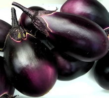 Aubergine