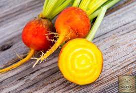 Beetroot (Golden) Bunch