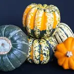 Heirloom Squash Small