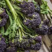 Purple sprouting broccoli