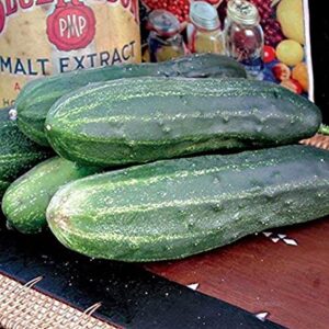 Cucumbers