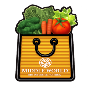 Custom Veg Box — Build Your Own