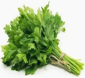 Parsley Bunch